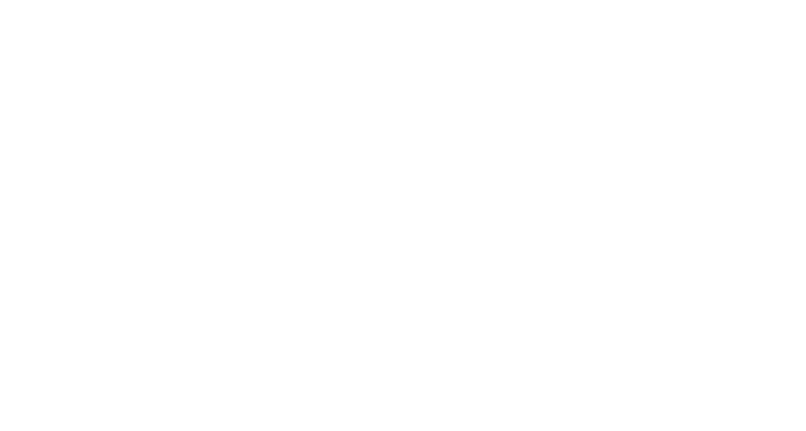 Intro AI